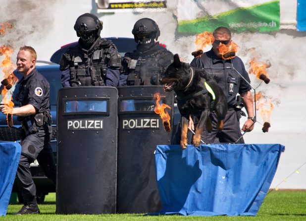 Цюрих: юбилей четвероногой полиции