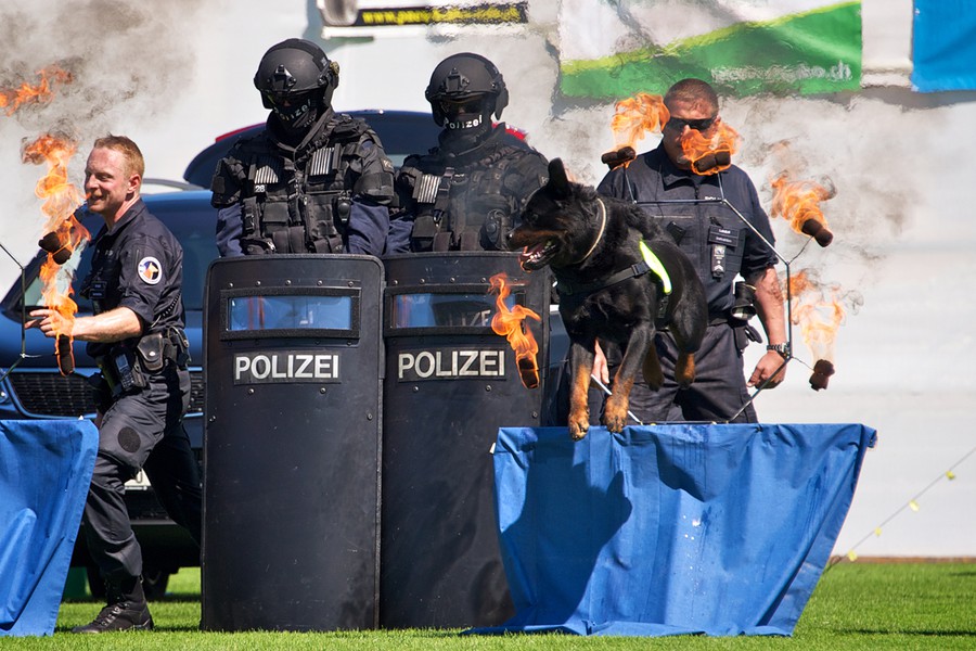 Цюрих: юбилей четвероногой полиции