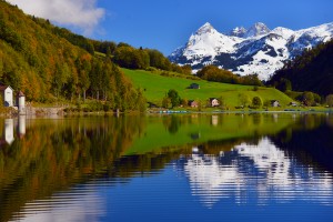 «Your Lingua» : переводы в Швейцарии