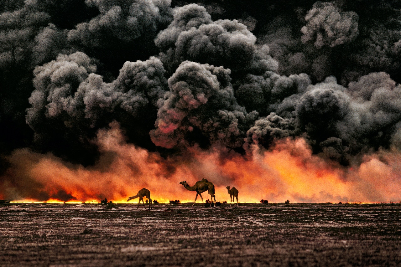 Кувейт. (© Steve McCurry)