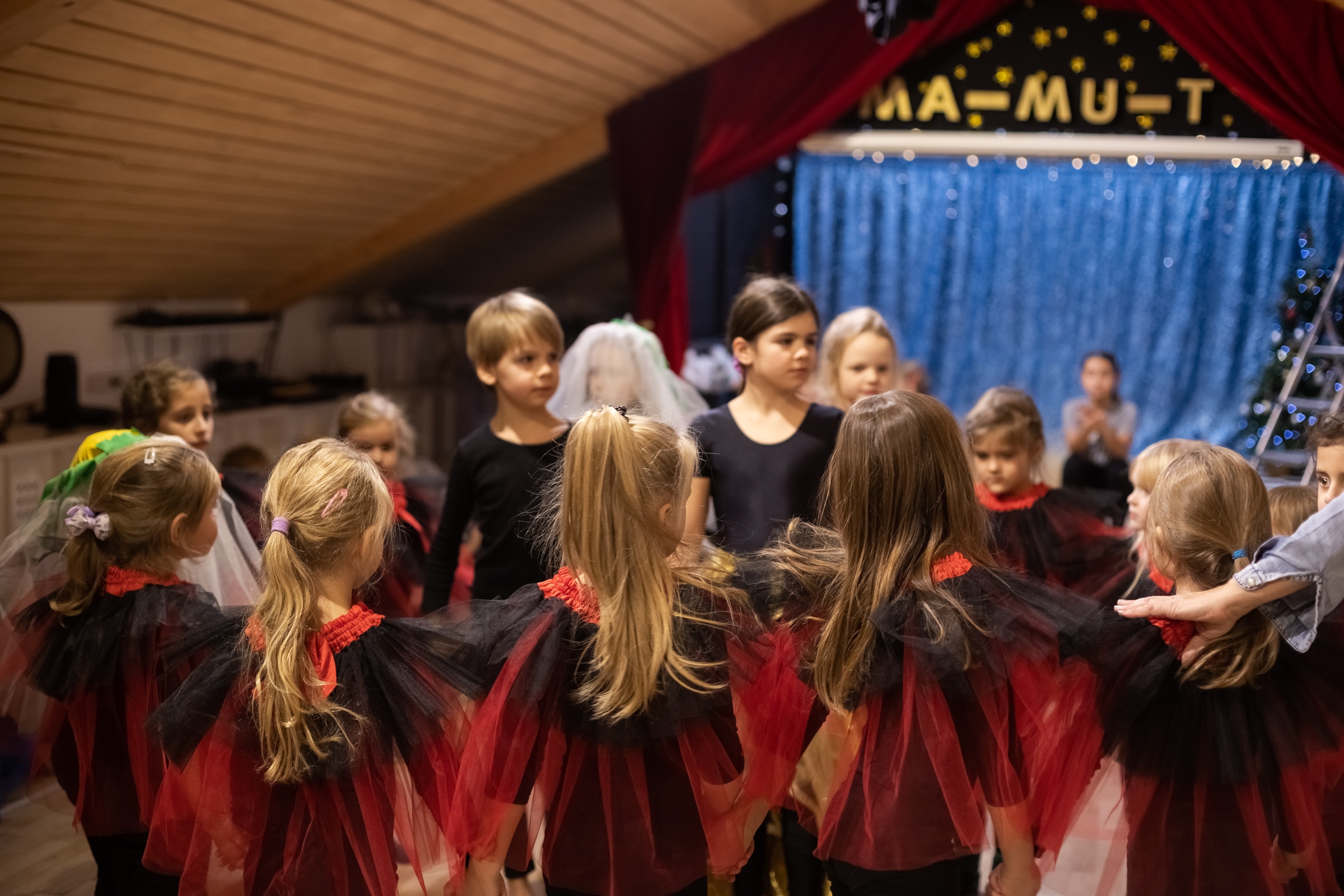Музыка, танец, театр и другие искусства развивают детские таланты в швейцарском культурно-образовательном центре «МаМуТ», Цолликерберг. 23.01.2022 г. (© mamut-center)