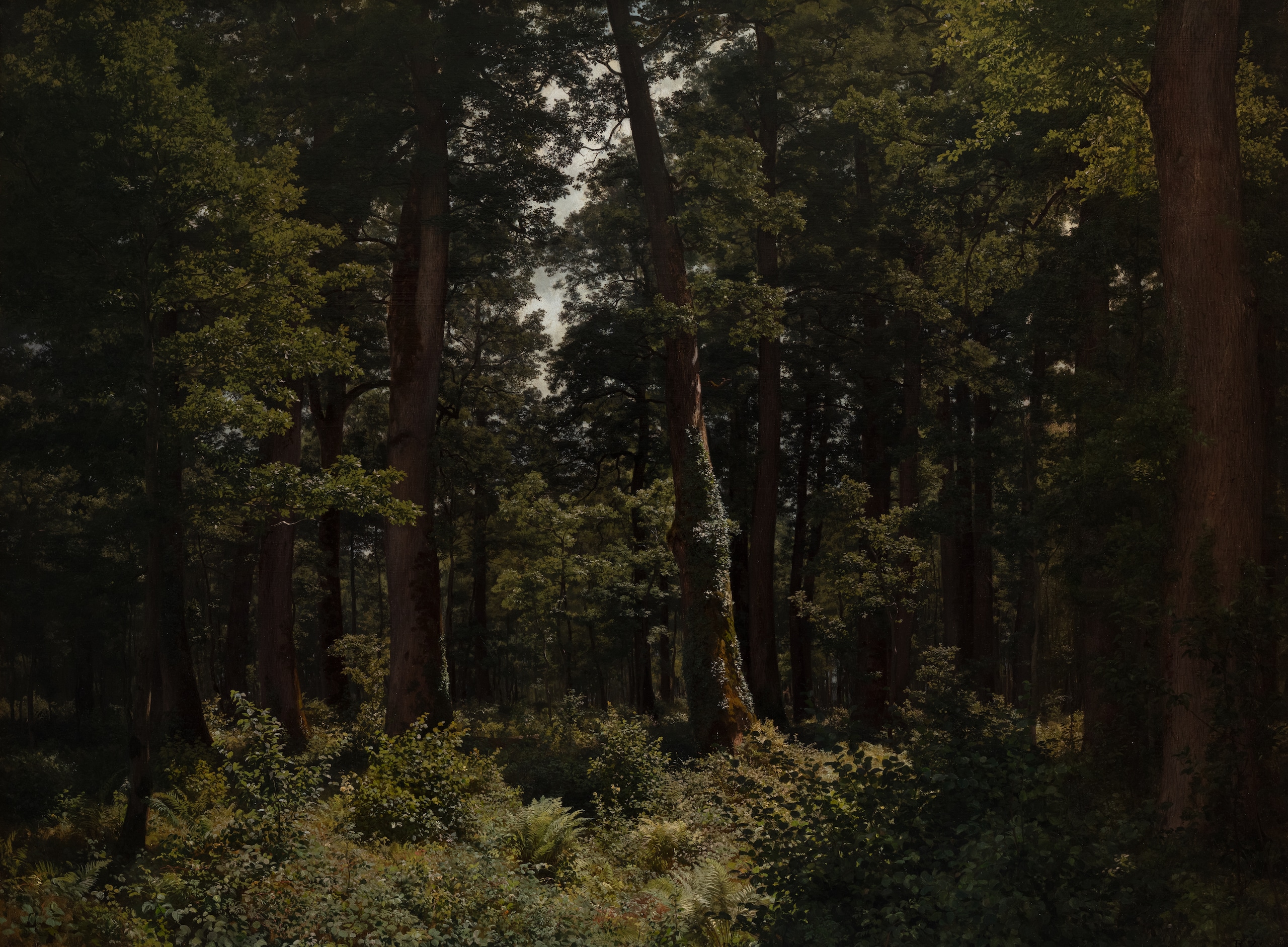 Швейцарский художник Роберт Цюнд (Robert Zünd, 1827-1909) любил рисовать дубовый лес. (Художественный музей Люцерна, фото Roberto Pellegrini)
