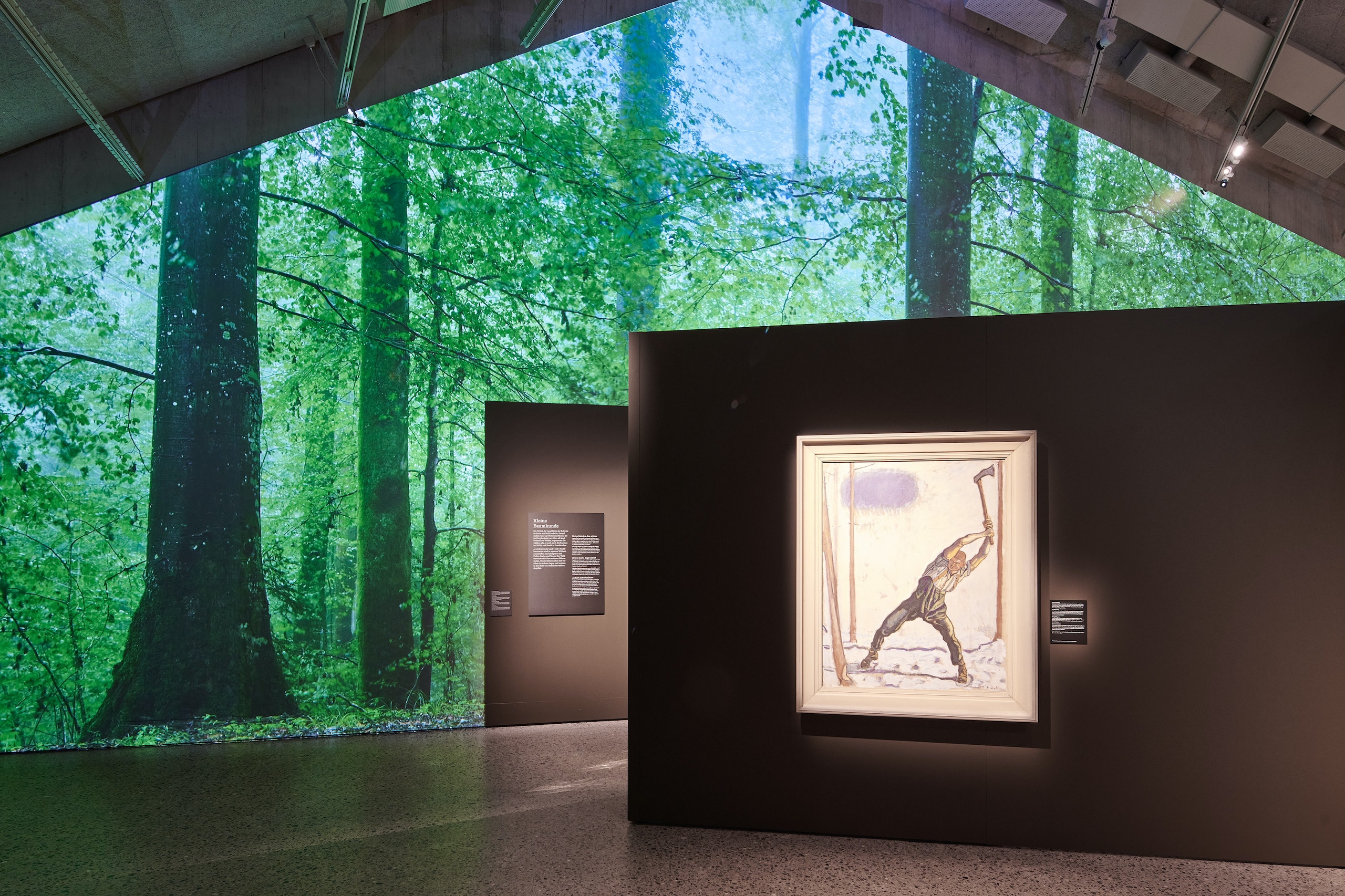 Лес рубят - щепки летят. На выставке «В лесу». Цюрих, 2022 г. (© Швейцарский национальный музей)
