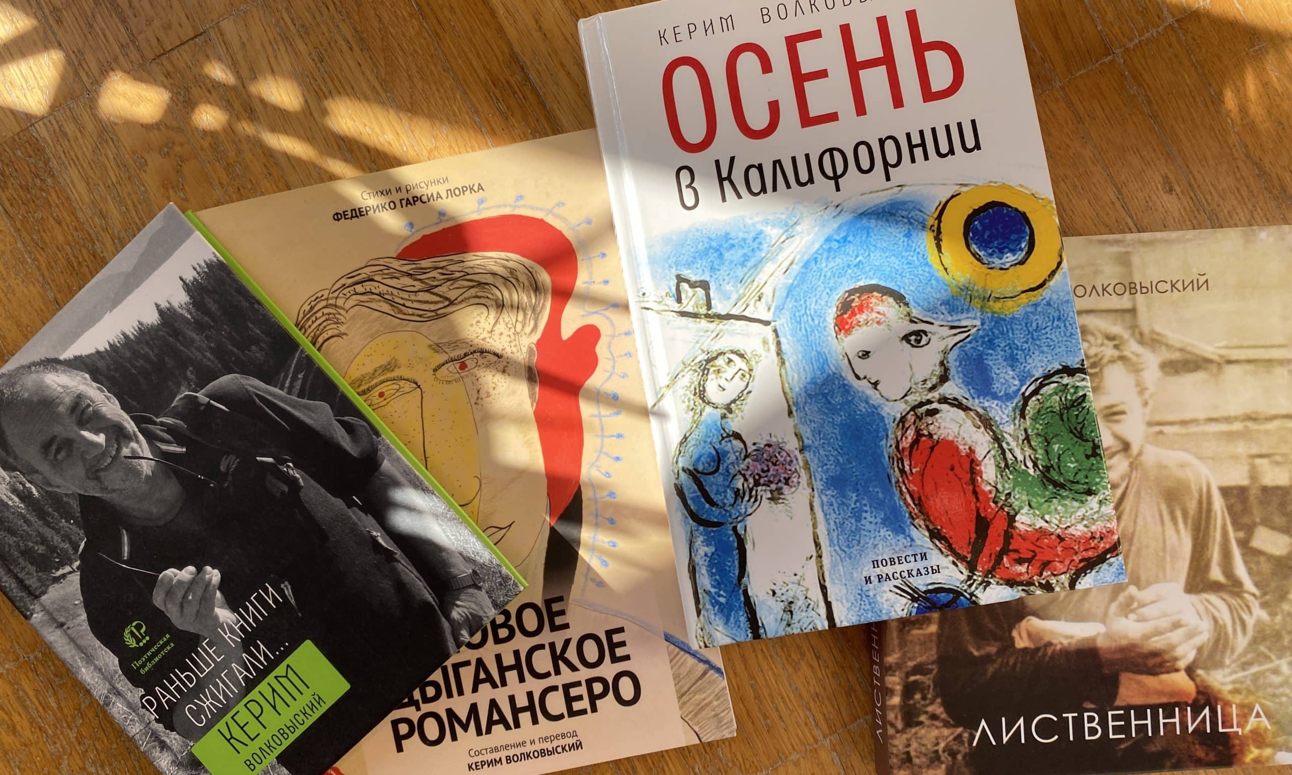 Керим Волковыский является автором четырех книг: стихи, переводы, проза. (© schwingen.net)
